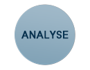 Analyses